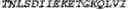 Fig. 02 - Adenosine nucleobase editors and uses thereof