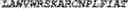 Fig. 112 - Adenosine nucleobase editors and uses thereof