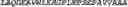 Fig. 141 - Adenosine nucleobase editors and uses thereof