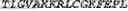Fig. 151 - Adenosine nucleobase editors and uses thereof