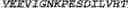 Fig. 22 - Adenosine nucleobase editors and uses thereof