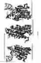 Fig. 236 - Adenosine nucleobase editors and uses thereof