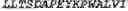 Fig. 24 - Adenosine nucleobase editors and uses thereof