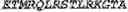Fig. 45 - Adenosine nucleobase editors and uses thereof