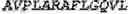 Fig. 70 - Adenosine nucleobase editors and uses thereof