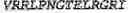 Fig. 71 - Adenosine nucleobase editors and uses thereof