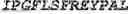 Fig. 90 - Adenosine nucleobase editors and uses thereof