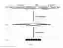 Fig. 02 - Gene targeting method