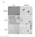 Fig. 06 - Transgenic cloned piglet expressing human proinsulin and method of producing the same