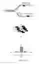 Fig. 49 - PURIFICATION PROCESS OF NASCENT DNA