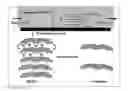 Fig. 01 - SHEAR ASSISTED ELECTROCHEMICAL EXFOLIATION OF TWO DIMENSIONAL MATERIALS