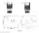 Fig. 20 - SHEAR ASSISTED ELECTROCHEMICAL EXFOLIATION OF TWO DIMENSIONAL MATERIALS