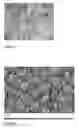 Fig. 02 - PROCESS FOR PROVIDING WATER REPELLENCY
