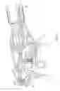 Fig. 06 - Safety device for gas burner