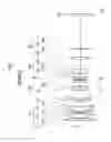 Fig. 02 - Imaging lens and imaging apparatus