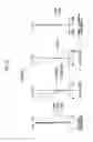 Fig. 09 - Objective optical system for endoscope and endoscope