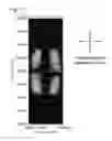 Fig. 15 - Liquid crystal display device