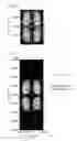 Fig. 19 - Liquid crystal display device