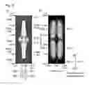 Fig. 34 - Liquid crystal display device