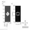 Fig. 41 - Liquid crystal display device