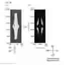 Fig. 50 - Liquid crystal display device