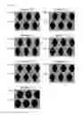 Fig. 64 - Liquid crystal display device