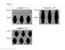 Fig. 65 - Liquid crystal display device