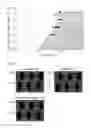 Fig. 71 - Liquid crystal display device