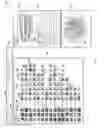 Fig. 04 - System and method for visual exploration of subnetwork patterns in two-mode networks