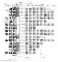 Fig. 07 - System and method for visual exploration of subnetwork patterns in two-mode networks