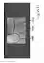 Fig. 07 - SCRATCHWORK WEBCAM SCAN FEATURE