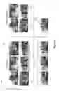 Fig. 08 - System and method for reducing similar photos for display and product design