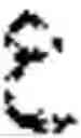 Fig. 02 - Character matching in text processing