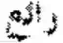 Fig. 09 - Character matching in text processing