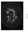 Fig. 03 - Detection of stent struts relative to side branches