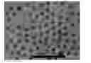 Fig. 01 - Core-shell particle, fired product of core-shell particle, manufacturing method of core-shell particle, epsilon type iron oxide-based compound particle, manufacturing method of epsilon type iron oxide-based compound particle, magnetic recording medium, and manufacturing method of magnetic recording medium