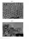 Fig. 02 - Core-shell particle, fired product of core-shell particle, manufacturing method of core-shell particle, epsilon type iron oxide-based compound particle, manufacturing method of epsilon type iron oxide-based compound particle, magnetic recording medium, and manufacturing method of magnetic recording medium
