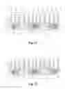 Fig. 06 - Dishing prevention dummy structures for semiconductor devices