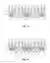 Fig. 07 - Dishing prevention dummy structures for semiconductor devices