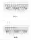Fig. 09 - Dishing prevention dummy structures for semiconductor devices