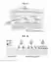 Fig. 02 - Electronic device based on black phosphorous single channel with multi-function and method of manufacturing the same