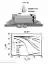 Fig. 06 - Electronic device based on black phosphorous single channel with multi-function and method of manufacturing the same