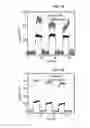 Fig. 11 - Electronic device based on black phosphorous single channel with multi-function and method of manufacturing the same