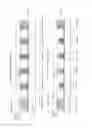 Fig. 07 - Semiconductor continuous array layer