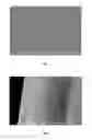Fig. 02 - Method for preparing aromatic polyamide porous membrane and aromatic polyamide porous membrane prepared thereby