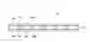 Fig. 01 - Separator for nonaqueous electrolyte secondary battery