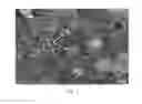 Fig. 02 - Lithium ion battery and negative electrode thereof