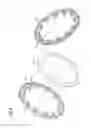 Fig. 06 - Motor and rotor
