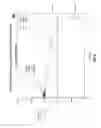 Fig. 09 - Detection of initial motor rotation in mains-fed induction motor
