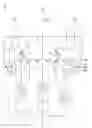 Fig. 08 - Input/output circuit
